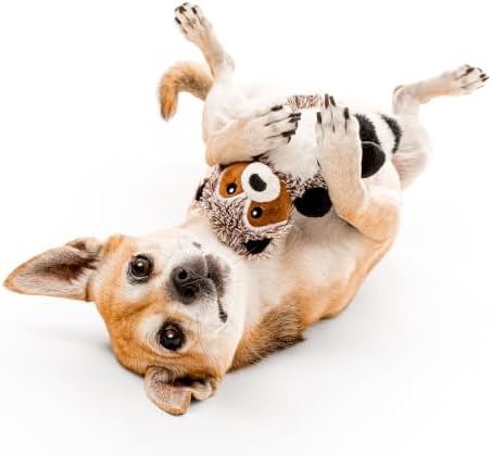 Playology Plush Raccoon Chew Toy for Small Dogs - Small, Sweet Potato Scent