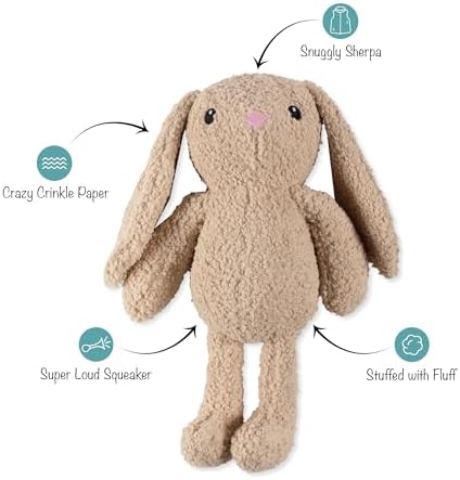 Fringe Studio Large Plush Dog Toy, Hoppy to See You, 19" Tall x 13" Wide, Pet Shop Collection (728034)