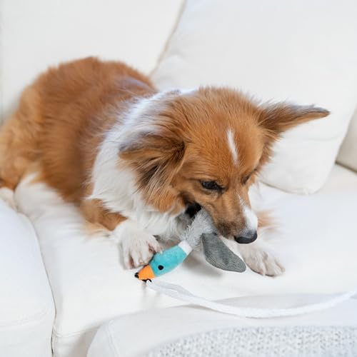 Outward Hound Tail Teaser Wand Dog Toy with Squeaky Plush, 17.4"