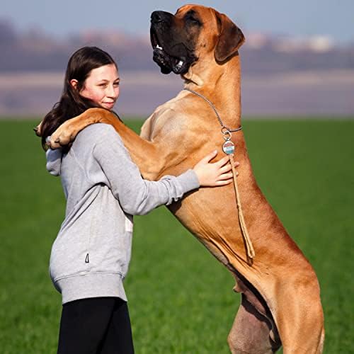 Smart Dog ID Tags, Personalized Pet ID Tags with QR Code, Free Online&Scan QR Receive Instant Location Alert Email