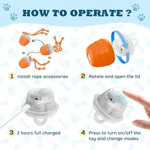 Interactive Dog Toys Chase Busy Buddy Dog Ball