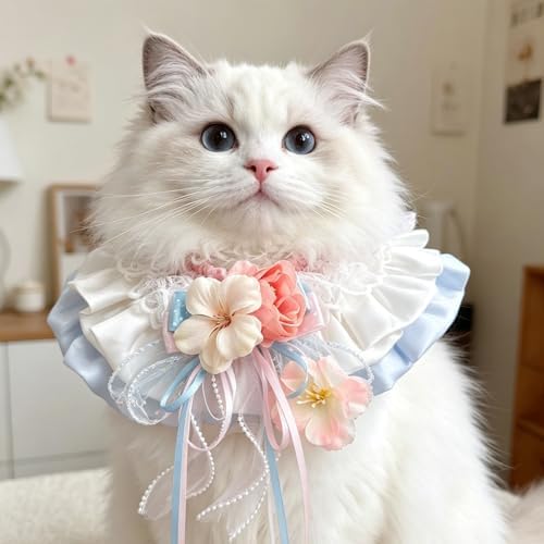 Cat Dog Lace Bow Collar Luxury Elastic Neckline (#1)