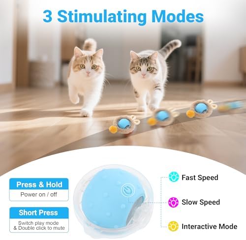 Cat Toys for Indoor Cats, Interactive Cat Toy for Adult Cats