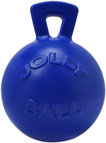 Jolly Pets Tug-n-Toss Dog Toy Ball with Handle, 8 Inches/Large, Blue