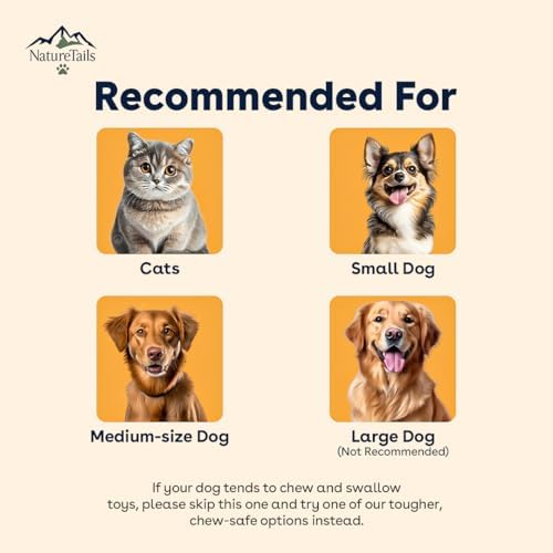 NatureTailsPaw Soft Dog & Cat Toy – Cute Squeaky Interactive Chew Toy for Puppies & Kittens, Durable Plush Teething Toy for Small, Medium & Large Breeds (Frog)