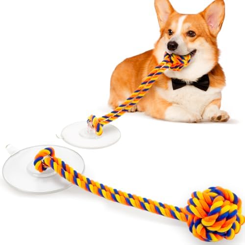 Interactive Dog Toy for Tug of War with Rope Ball for Small Dogs,Orange