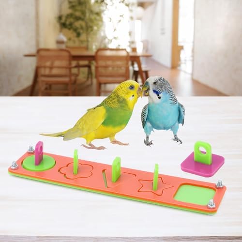 Hypeety Bird Intelligence Training Toys Parrot Learning Block Puzzles