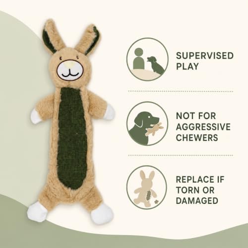 Rabbit Squeaky Plush Dog Toy with Crinkle for Puppies, Small/Medium Dogs
