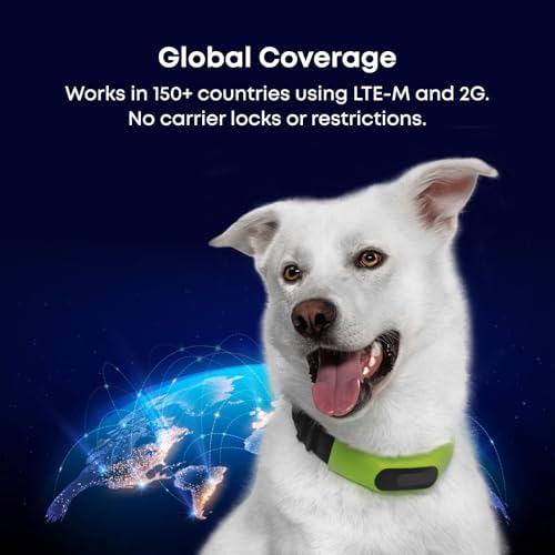Averia Collar - Reliable GPS and Activity Tracker for Dogs