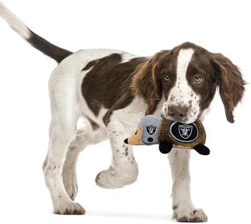 NFL LAS Vegas Raiders Plush Hedgehog Toy for Dogs & Cats, Cool Soft Pet Toy for Fun and Interactive Play, Dog Chew Toy with Squeaker, Licensed Hot Pet Toy