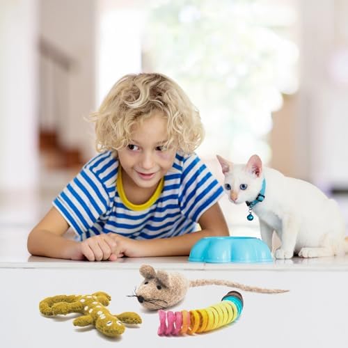 Glaciart One Wool Cat Toy Set with Catnip | Cute Cat Toy for Interaction & Boredom Relief, Encourages to Exercise, Explore & Play | Filled w/Organic Catnip to Help Sooth or Reduce Anxiety