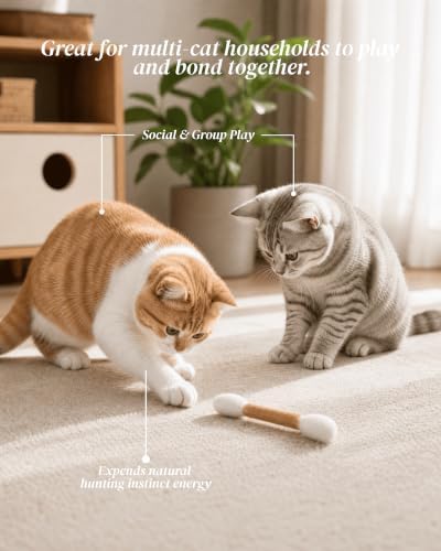 Swabs Cat Toys with Catnip, Cat Toys for Indoor Cats, 5Pcs