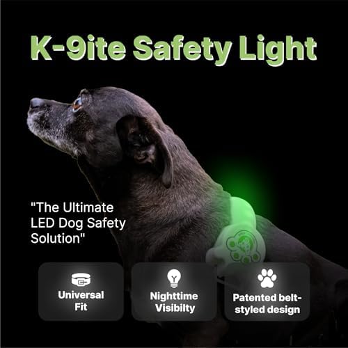 Rechargeable LED Dog Collar, Adjustable Size Light Up Collar with 360° Halo Effect, Ultra-Bright RGB Light, Weather-Resistant Design, Flash Mode, & USB-C Charging for Small, Medium & Large Dogs