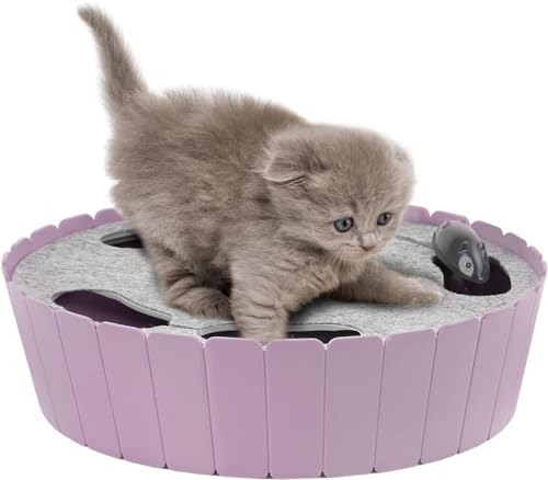 Pawaboo Interactive Cat Toy with Running Mouse, Automatic Track Kitten Toy | Electronic Motion Cat Toy for Indoor Cats, Pop and Play Hide Seek Cats Toys Hunting Mouse for Kitty Play Exercise, Purple