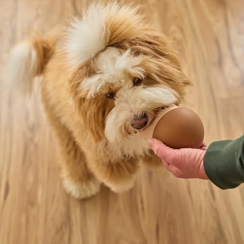 SPOT Treat Tumbler Mushroom – Freezable & Fillable Treat Dispensing Dog Toy for Small & Medium Dogs, Silicone, Easy to Clean, Interactive, Holds Small Kibble & Soft Snacks, 4.5 in