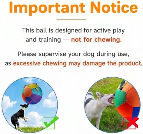 Herding Ball for Dogs, 22" XL Outdoor Exercise Toy for Medium Large Breeds