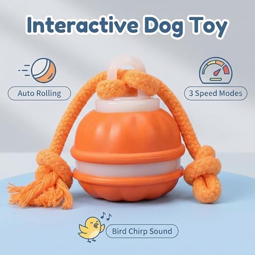Winb Interactive LED Dog Ball （4 inch）- USB Rechargeable Motion-Activated Rolling Toy for Small to Large Dogs, Dogs Ball Play and Wicked Fun,Squeaky Sound & Stimulation, Orange