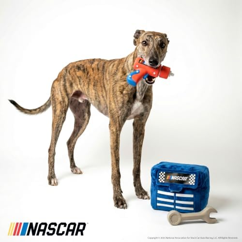 NASCAR, Hide & Seek Nesting Toys for Dogs, Toolbox Treater Bundle, 4-Pack