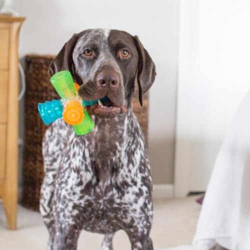 Outward Hound Triple Jack Interactive Multi-Squeak Dog Toy, 4.9"