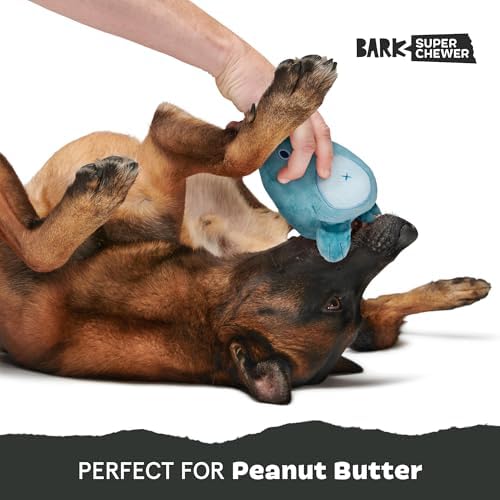 BarkBox Grey Bear Hugger Super Chewer Plush Toy
