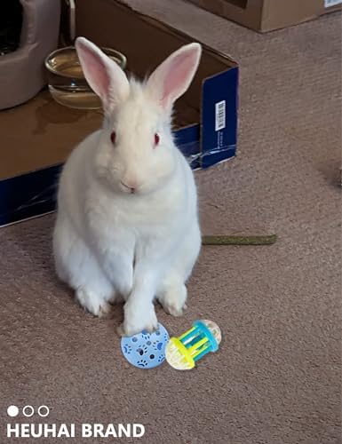 10 Pack Rabbit Toys for Bunnies - Safe, Fun and Long-Lasting Toys