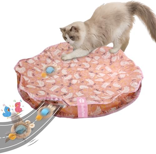 Cat Toys for Indoor Cats, Interactive Cat Toy for Adult Cats
