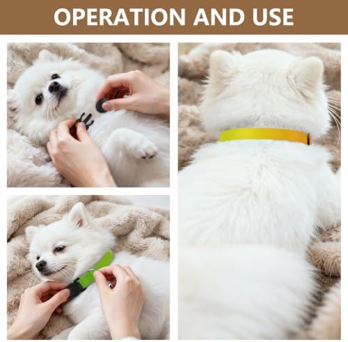 Rainbow Gradient Cat Bell Collar 2 Pack Small Dog Collar Adjustable Length 10.6" to 17.1"
