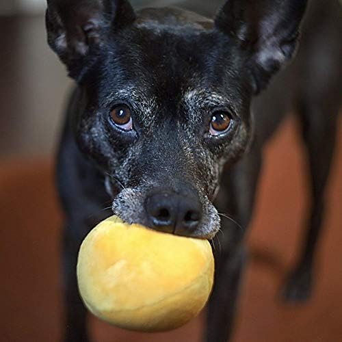 Midlee Squeaky and Crinkley 3 1/2" Plush Dog Balls, Set of 8