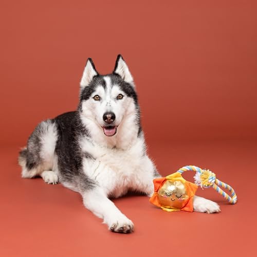Fringe Studio Plush Dog Toy with Rope, Sun-Day I'm in Love, Pet Shop Collection (314526)