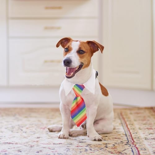 Adjustable Pet Necktie Rainbow Stripe Cloth Costume Accessory