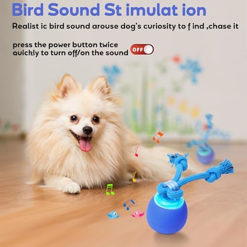 Interactive Dog Toys to Keep Them Chase Busy Buddy Doggie Ball for Small Puppy(Blue)