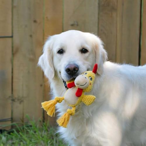 Plush Squeaky Knot Dog Toys, Interactive Chew Toys (Yellow Chicken)