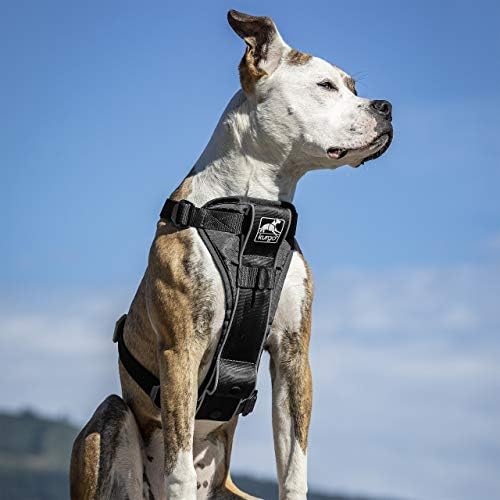 Kurgo Tru-Fit Smart Harness, Black, Extra Large