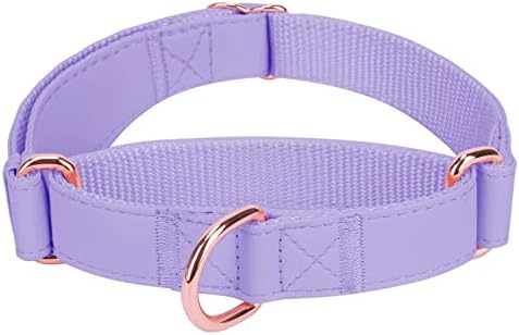 Soft Leather Martingale Dog Collar - Adjustable Rose Gold Limited Slip Collars [Easy to Clean], Stylish Durable Heavy Duty Nylon No Pull Training Collar for Small Medium Large Dogs XS Purple