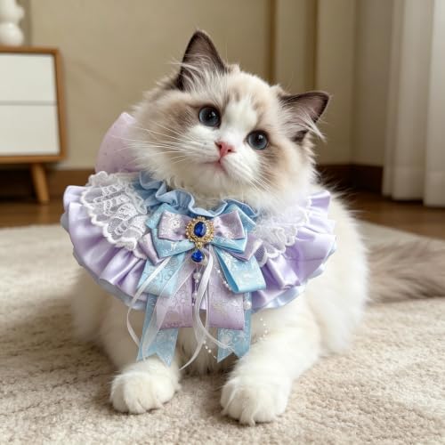Cat Dog Lace Bow Collar Luxury Elastic Neckline (#10)