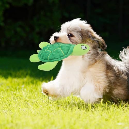 Squeaky Sea Turtle Plush Dog Toy - Durable, No Stuffing (Green)