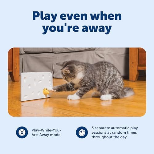 PetSafe Cheese - Interactive, Electronic Cat Toy - Peek-A-Boo Mouse Hunt Game - Hide and Seek for Bored and Anxious Cats - Kitten Teaser Toy - Automated Cat Toy for Cat Enrichment and Exercise