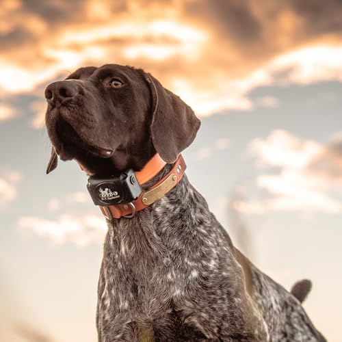 DT SYSTEMS H201850 Plus Upland Waterproof 12-23" Rechargeable Remote Dog Training E-Collar, 1800-Yard Range, 16 Stimulation Levels, Beeper/Locator