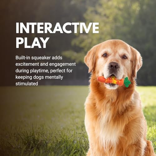 Consumable Corner - Carrot Dog Toy - Silicone Squeaky Chew Toy