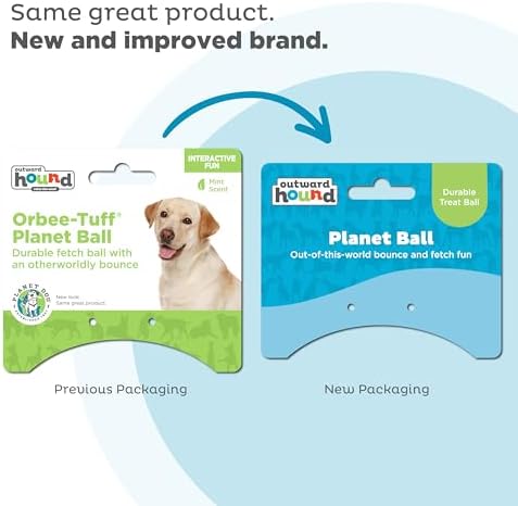Outward Hound by Planet Dog Orbee-Tuff Planet Ball Blue/Green Treat-Dispensing Dog Toy, Large