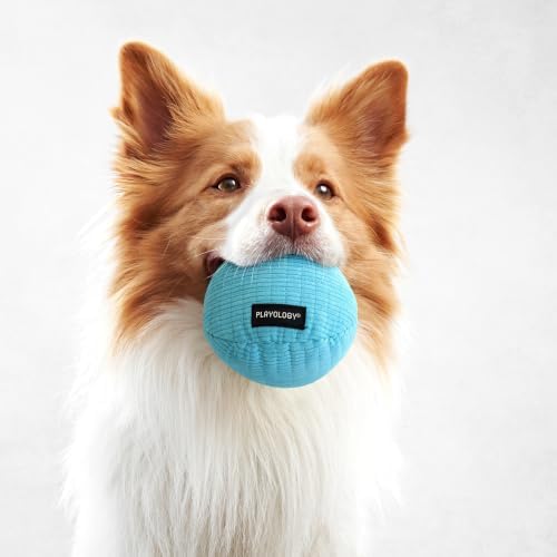 Playology Durable Plush Ball Toy- Crinkle Ball- Medium,Peanut Butter Scent