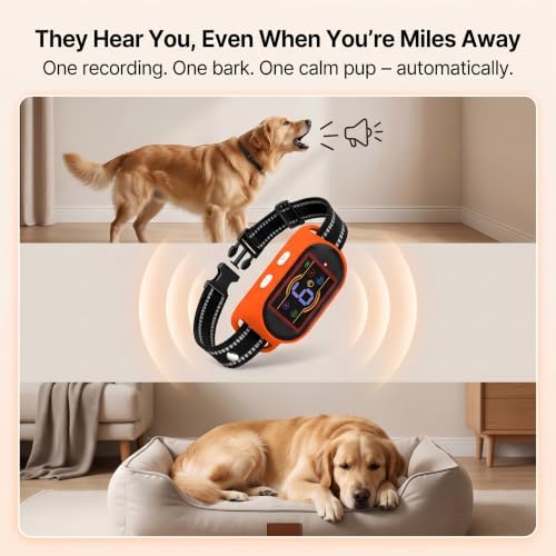 Voice Memo Anti Bark Collar, Smart Dog Bark Collar, Orange