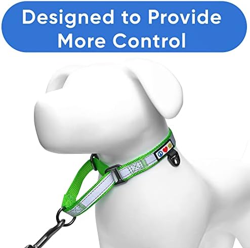 Pawtitas Customized Martingale Dog Collar Reflective Reflective Dog Collar Embroidered Personalized Name Phone Number Adjustable for Puppies Small Medium Large Size Dogs Small Green