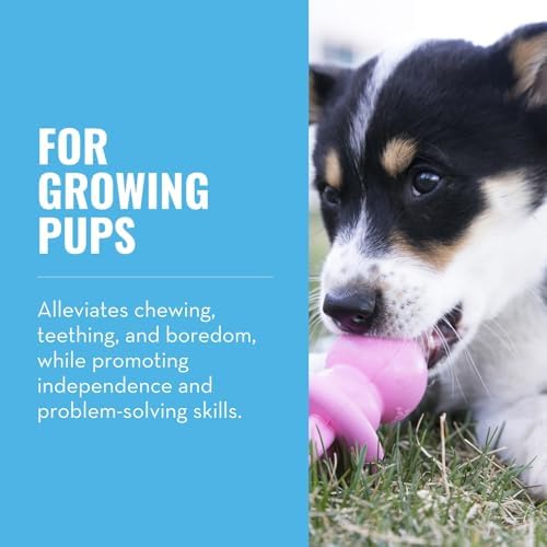 KONG Puppy Binkie, Natural Rubber Teething Toy, for Medium Puppies, Pink