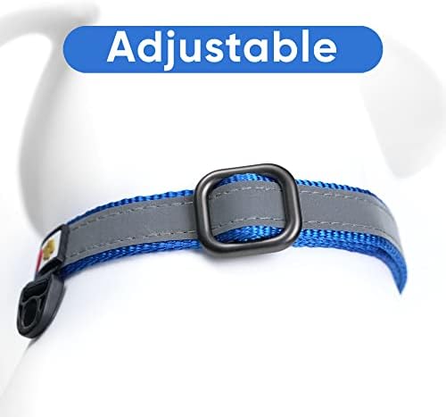 Pawtitas Personalized Dog Collar Martingale Dog Collar with Name Phone Number Reflective Martingale Dog Collar Customized Collar for Medium Dogs | Medium Custom Dog Collars for Medium Dogs