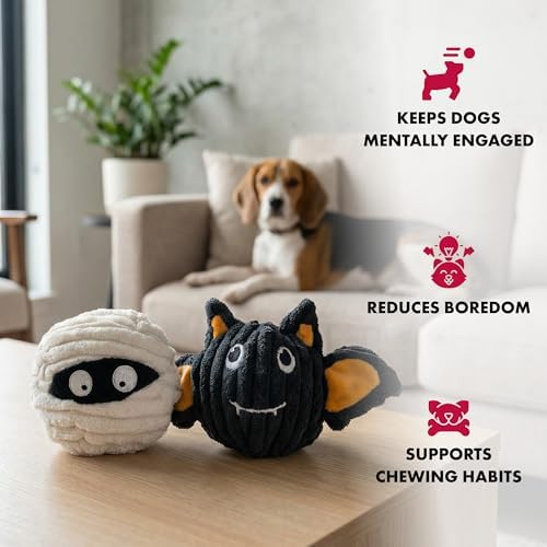 Pet Lou Batmmy EZ Squeaky Ball, Set of 2, 4-inch Width