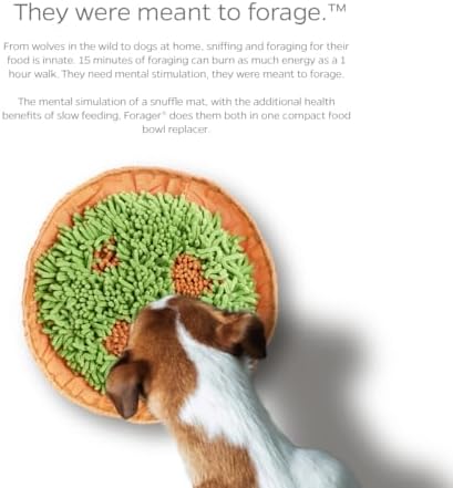 PET Parents Forager Snuffle MAT and Slow Feeder Dog Bowl, Meadow Natural