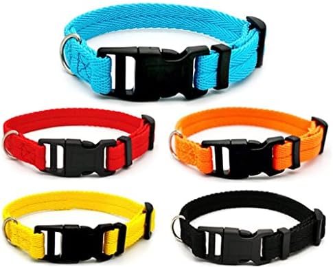 Nylon Webbing Dog Collar Fashion Buckle Pet CollarAccessory
