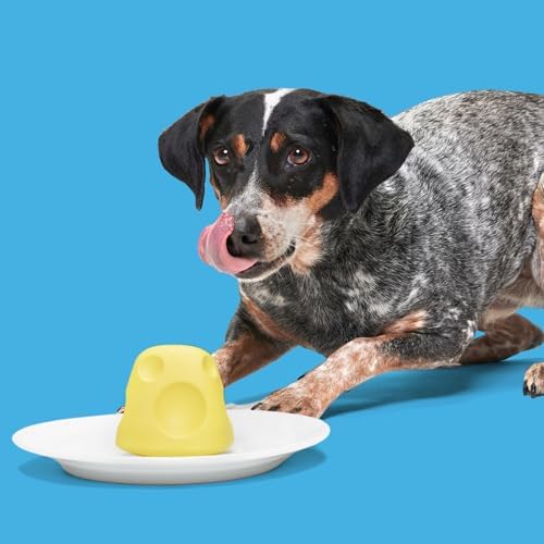 BarkBox Cheese Dog Toy - Toy for Medium Dogs
