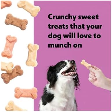Wiggles & Wags Neapolitan Dog Cookies, Strawberry, Vanilla & Carob Flavors, 14 oz with DN Essentials Bone Shaped Waste Bag Dispenser & Roll